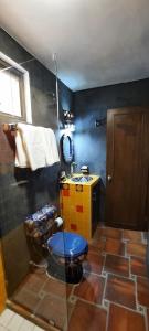 a bathroom with a blue toilet and a sink at Hotel Boutique Casa Elefante in Guadalajara