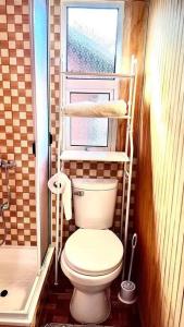 a bathroom with a toilet and a window at Acogedor departamento interior, a minutos del Lago in Llanquihue