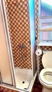 a bathroom with a shower with a toilet at Acogedor departamento interior, a minutos del Lago in Llanquihue