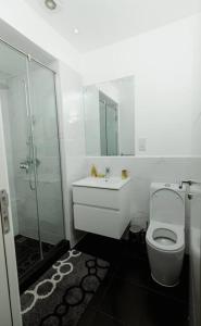 a bathroom with a shower and a toilet and a sink at Enjoy Luxury Studio w/Pool @Embassy Gardens in Accra