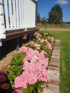 Dangerfield Oaks Boutique Cottage's外面的花园