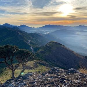 a view of a mountain with a tree on top at Pepper county farm stay in Munnar