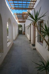 Fotografie z fotogalerie ubytování Abouseif Guest House v destinaci Sharm El Sheikh