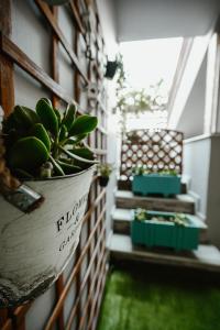 A seating area at Le Petit Jardin #2