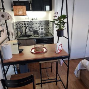 Kuchyňa alebo kuchynka v ubytovaní Lyon Montchat Villeurbanne Studio refait à neuf climatisation et parking privé