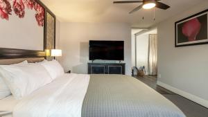 um quarto com uma cama e uma televisão de ecrã plano em Onsen Hotel and Spa em Desert Hot Springs