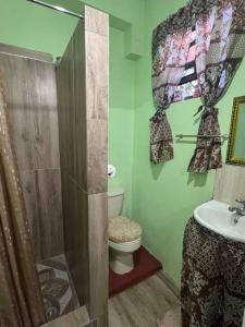 a bathroom with a shower and a toilet and a sink at Homely Environment Studio Apt in Gros Islet