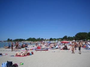a large group of people on a beach at Apartments Dujlovic in Privlaka