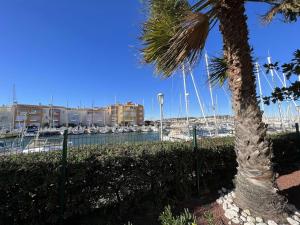 una palmera junto a un puerto deportivo con barcos en Studio Cap d'Agde, 1 pièce, 4 personnes - FR-1-702-2, en Cap d'Agde