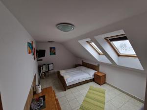 a bedroom with a bed and two skylights at Penzion Solna Jaskyna in Turčianske Teplice