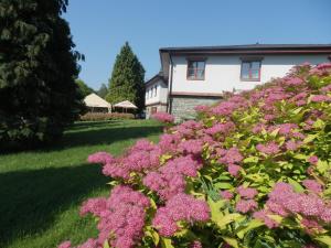 Zahrada ubytování Hotel Terasa