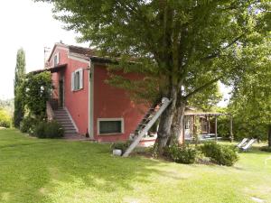 a ladder leaning against a tree next to a house at Il Vecchio Milipano in Montepulciano