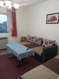 ein Wohnzimmer mit einem Sofa und einem Tisch in der Unterkunft Apartman Sanin in Sarajevo