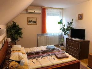 a bedroom with a bed and a television in it at Katalin vendégház in Sárospatak