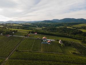 Zdjęcie z galerii obiektu King's Hill kuća za odmor w mieście Velika