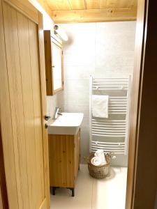 a bathroom with a sink and a shower at apartmány V Lese in Bedřichov