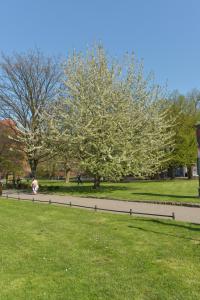 Giardino di Five Point Hostel & Apartments