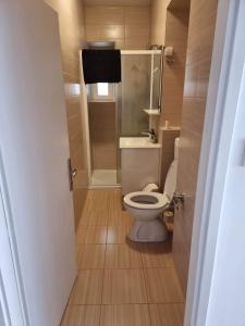 a small bathroom with a toilet and a shower at Beach House Murter in Murter