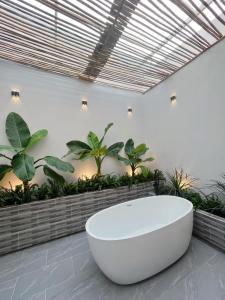 Sea House Hotels and Apartments في فنغ تاو: حوض أبيض كبير في غرفة بها نباتات