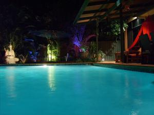 a blue swimming pool at night with an umbrella at Tantarra Guest House - Pet Friendly in Warners Bay