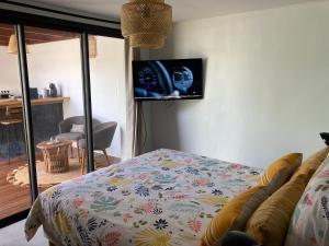 1 dormitorio con 1 cama y TV en la pared en La Petite Porte, en La Saline-Les-Bains