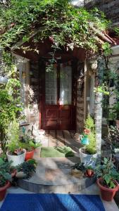 einer Haustür eines Hauses mit Topfpflanzen in der Unterkunft Cherry Blossom in Nainital