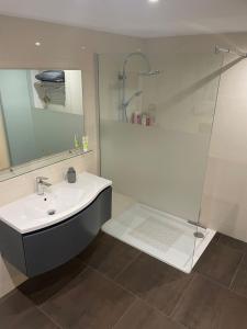 een badkamer met een wastafel en een glazen douche bij Gemütliche Ferienwohnung in Wernigerode