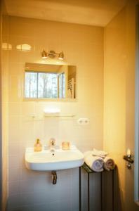 a bathroom with a sink and a mirror at Klein Soestdijk in Veenhuizen