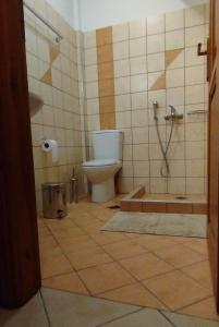 La salle de bains est pourvue d'une douche et de toilettes. dans l'établissement Ξενώνας Ερυκίνη, à Dhímitra