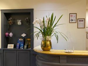 Fotografie z fotogalerie ubytování Hotel Estée v destinaci Desenzano del Garda