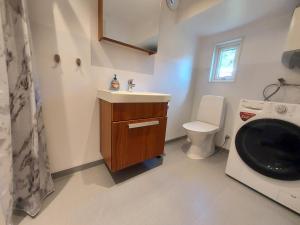 a bathroom with a toilet and a sink and a washing machine at Havsnära Stuga in Klövedal