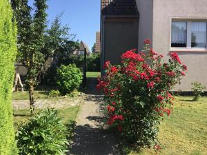 um jardim com flores vermelhas em frente a uma casa em Bei Netti em Klütz