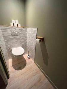 a bathroom with a white toilet in a room at Suite cosy au cœur de Vinzelles proche Mâcon Tout équipé avec salon d'extérieur in Vinzelles