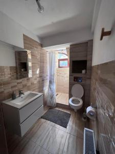 ein Badezimmer mit einem weißen Waschbecken und einem WC in der Unterkunft Casa Iris Colibita in Colibiţa