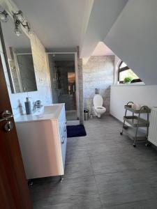Ein Badezimmer in der Unterkunft Casa Iris Colibita