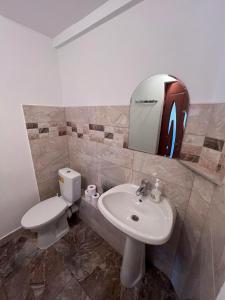 La salle de bains est pourvue d'un lavabo, de toilettes et d'un miroir. dans l'établissement Casa Iris Colibita, à Colibiţa