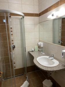 Kúpeľňa v ubytovaní Lugas Hotel