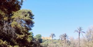 Paesaggio naturale nelle vicinanze dell'appartamento