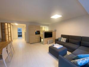 Il comprend un grand salon avec un canapé et une télévision. dans l'établissement Oostduinkerke Apartments, à Oostduinkerke