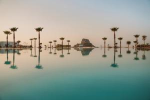 uma piscina de água com palmeiras e uma rocha no fundo em Ikos Aria em Céfalo
