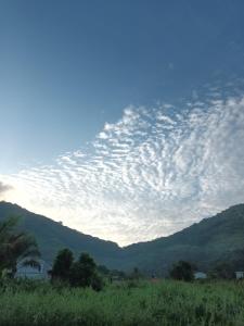 Příroda nedaleko penzionu