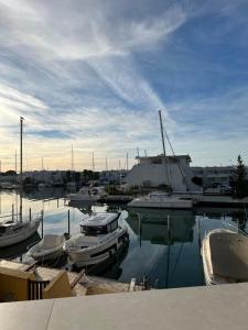 grupa łodzi zakotwiczona w porcie w obiekcie La Marina de Lairan 2 chambres terrasse vue Port de Plaisance w mieście Le Grau-du-Roi