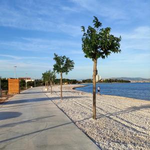 a tree lined sidewalk next to a body of water at Apartments Blanca in Vodice