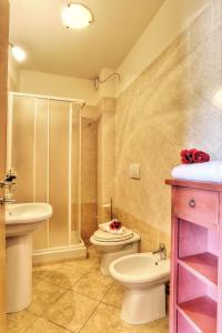 ein Bad mit einem WC, einer Dusche und einem Waschbecken in der Unterkunft I fiori di Alberese in Alberese