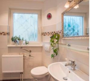 W łazience znajduje się toaleta, umywalka i lustro. w obiekcie Erdgeschoss Wohnung mit Garten w mieście Scharbeutz