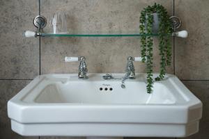 a white sink with a plant on top of it at Dukeswood Cottage, Wynyard Hall in Grindon