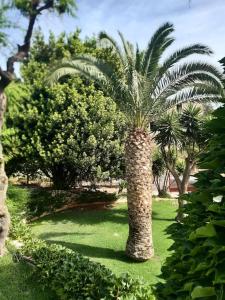 A garden outside 7 SENCES!!