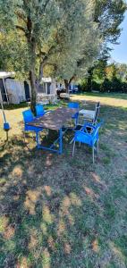 Camping Pilzone في إيزِيو: طاولة نزهة وكراسي تحت شجرة