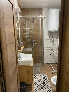 ein Bad mit einer Dusche und einem Waschbecken in der Unterkunft D-moll Divcibare in Divčibare