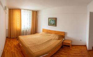 um quarto com uma cama e uma grande janela em Hotel Horezu em Horezu